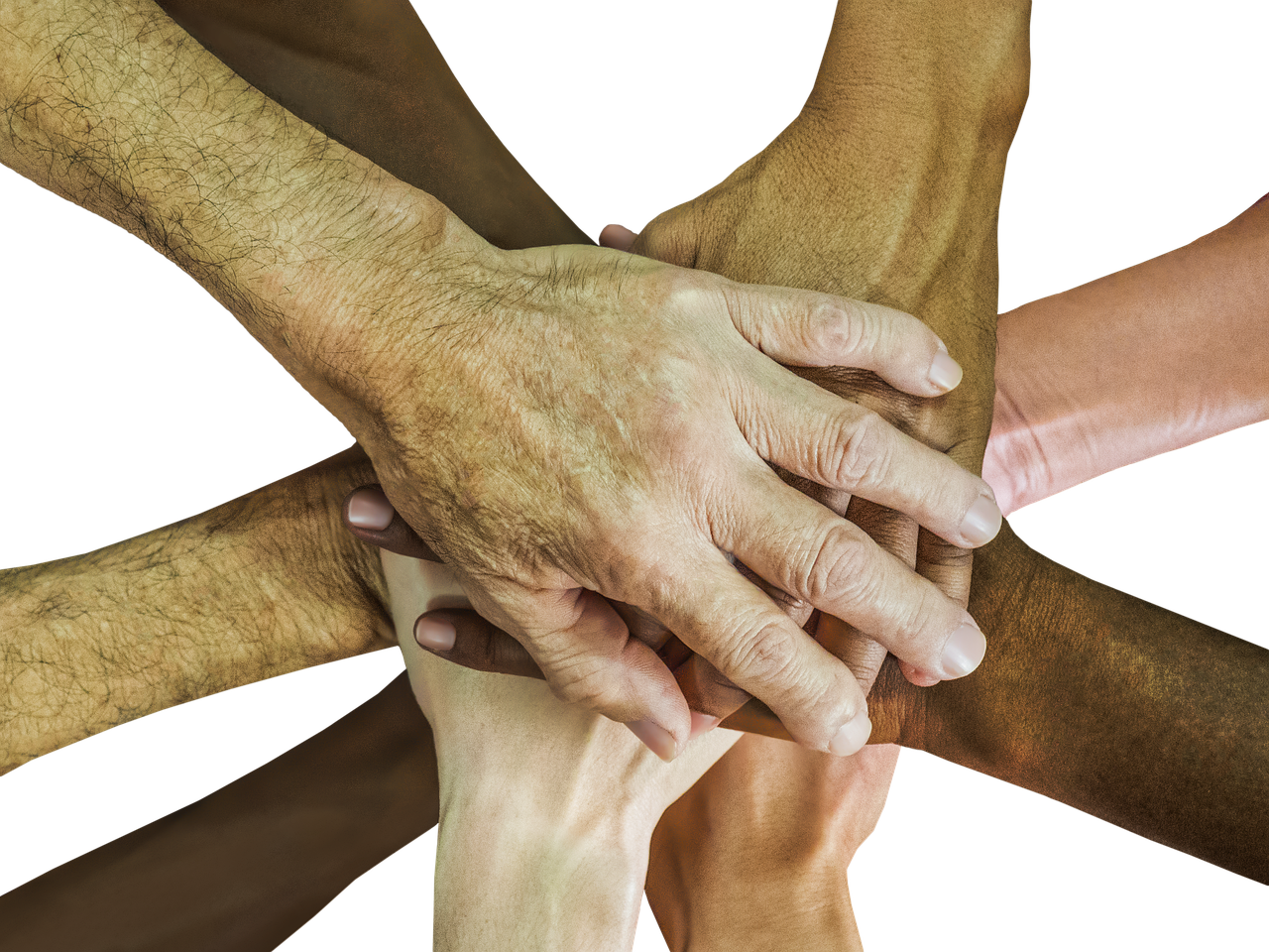 Workplace Diversity and Inclusion