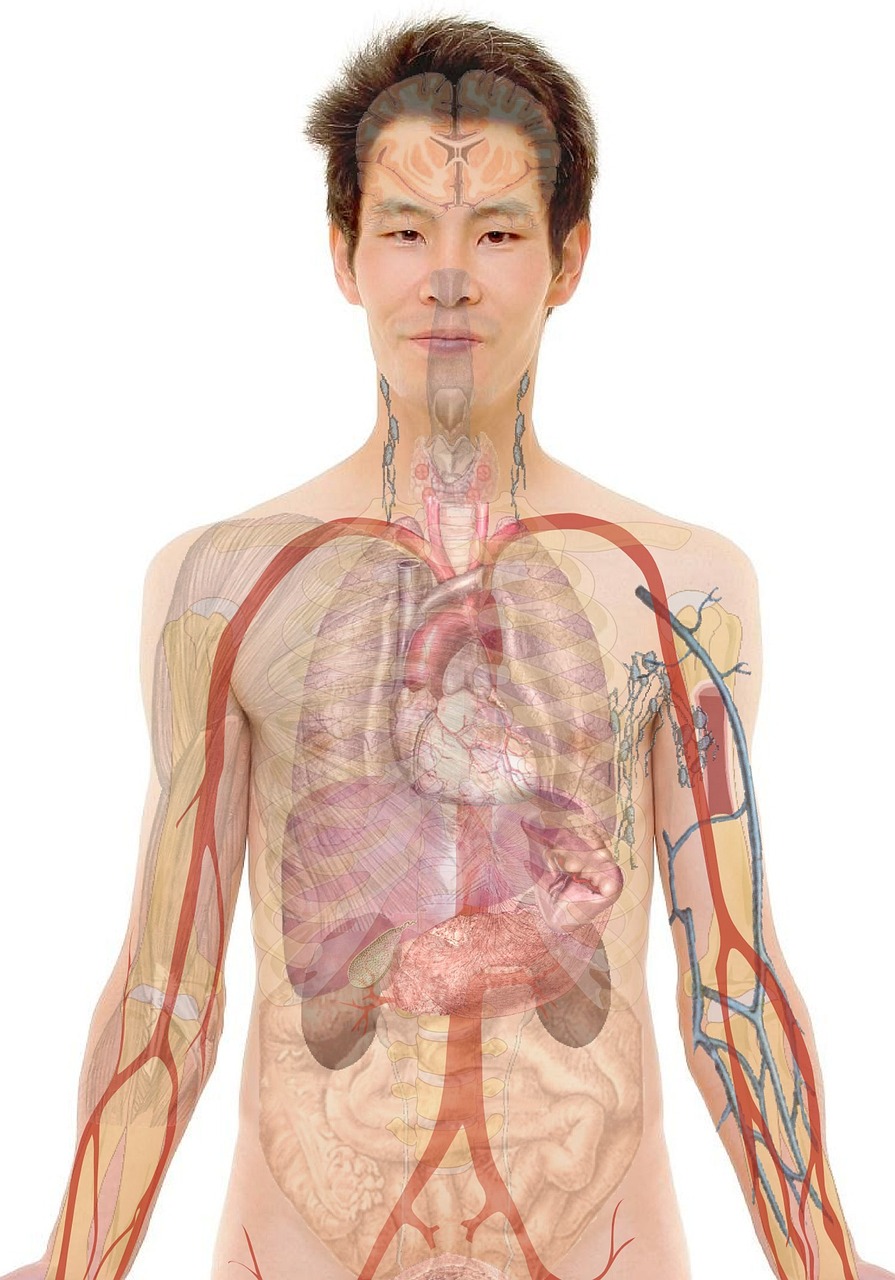 Robotics and Automation in Nursing