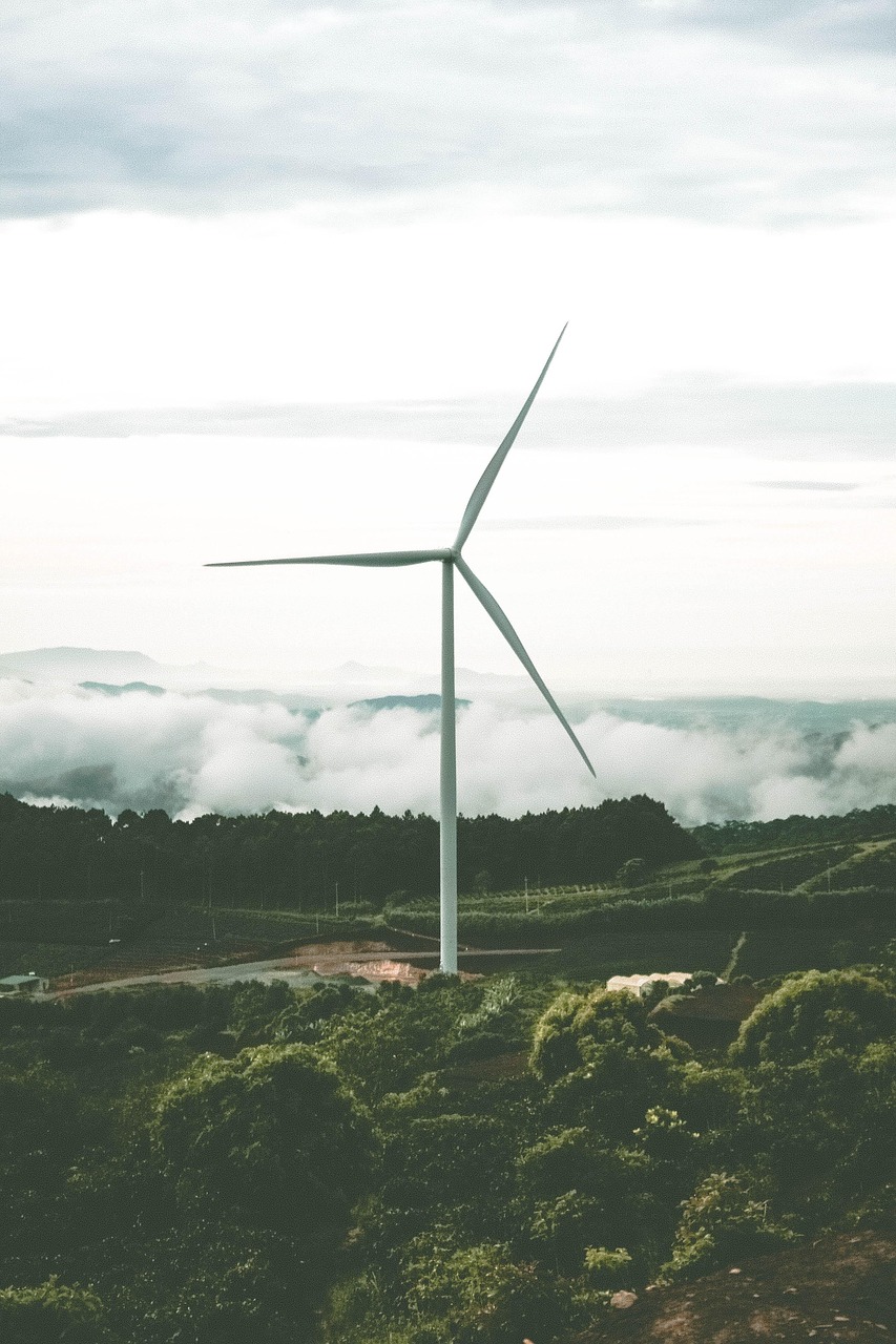 Renewable Energy Diplomacy