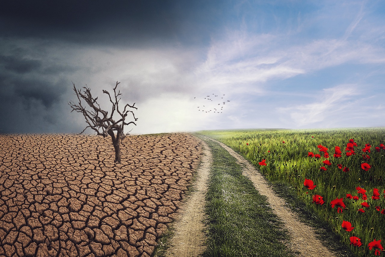 Climate Change and Energy Diplomacy