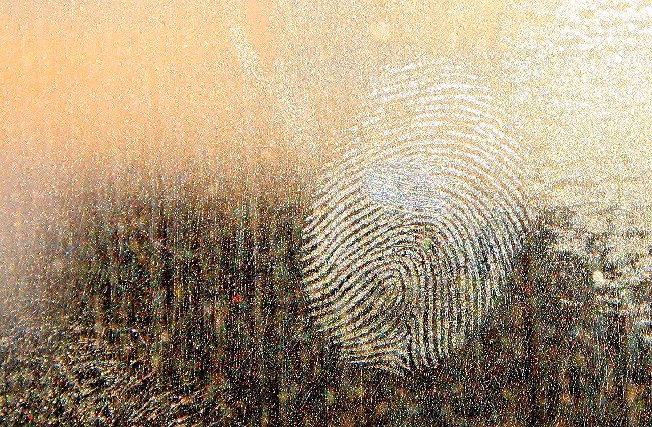 Fire Investigation and Structural Forensics
