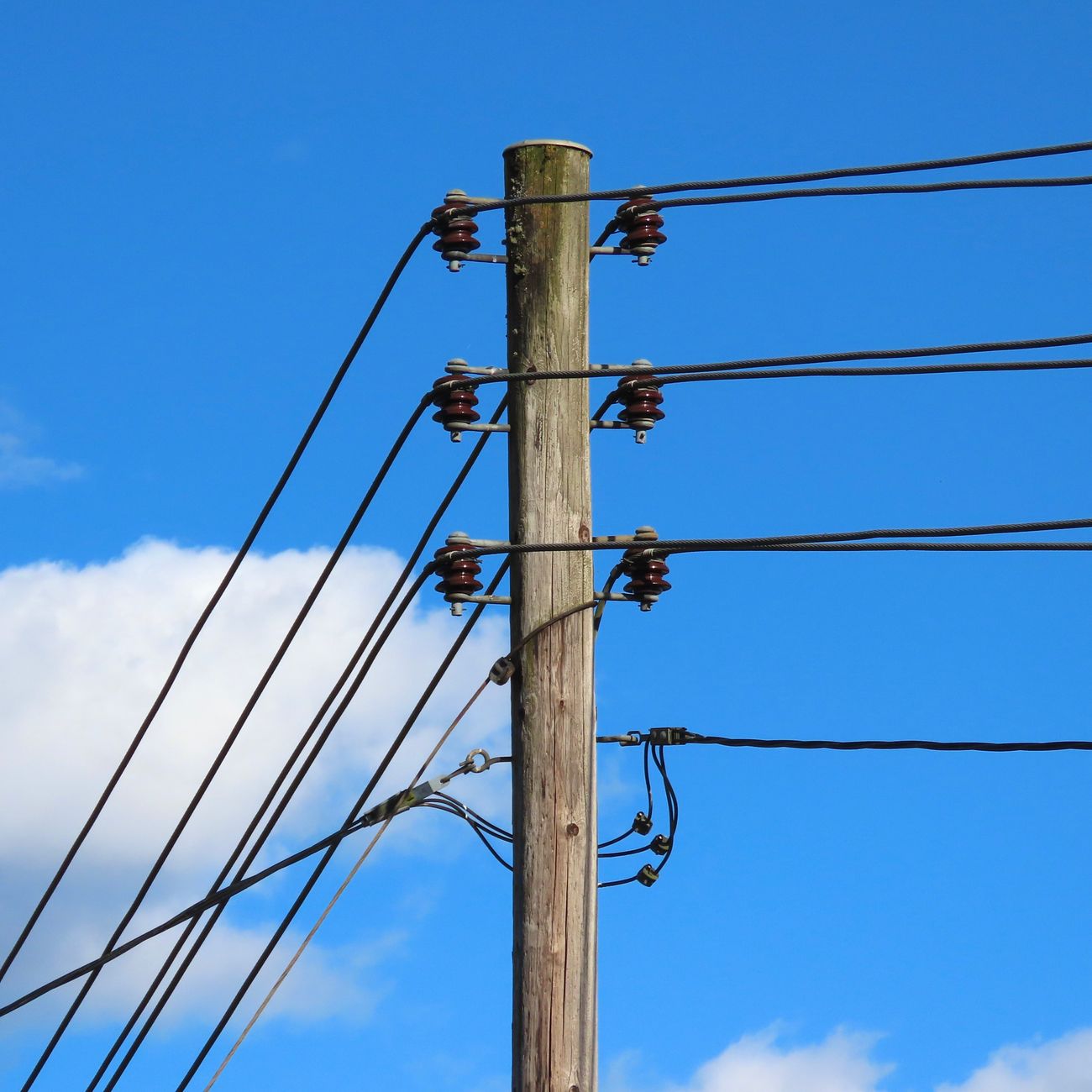 Unit 4: Understanding Frequencies and Resonance