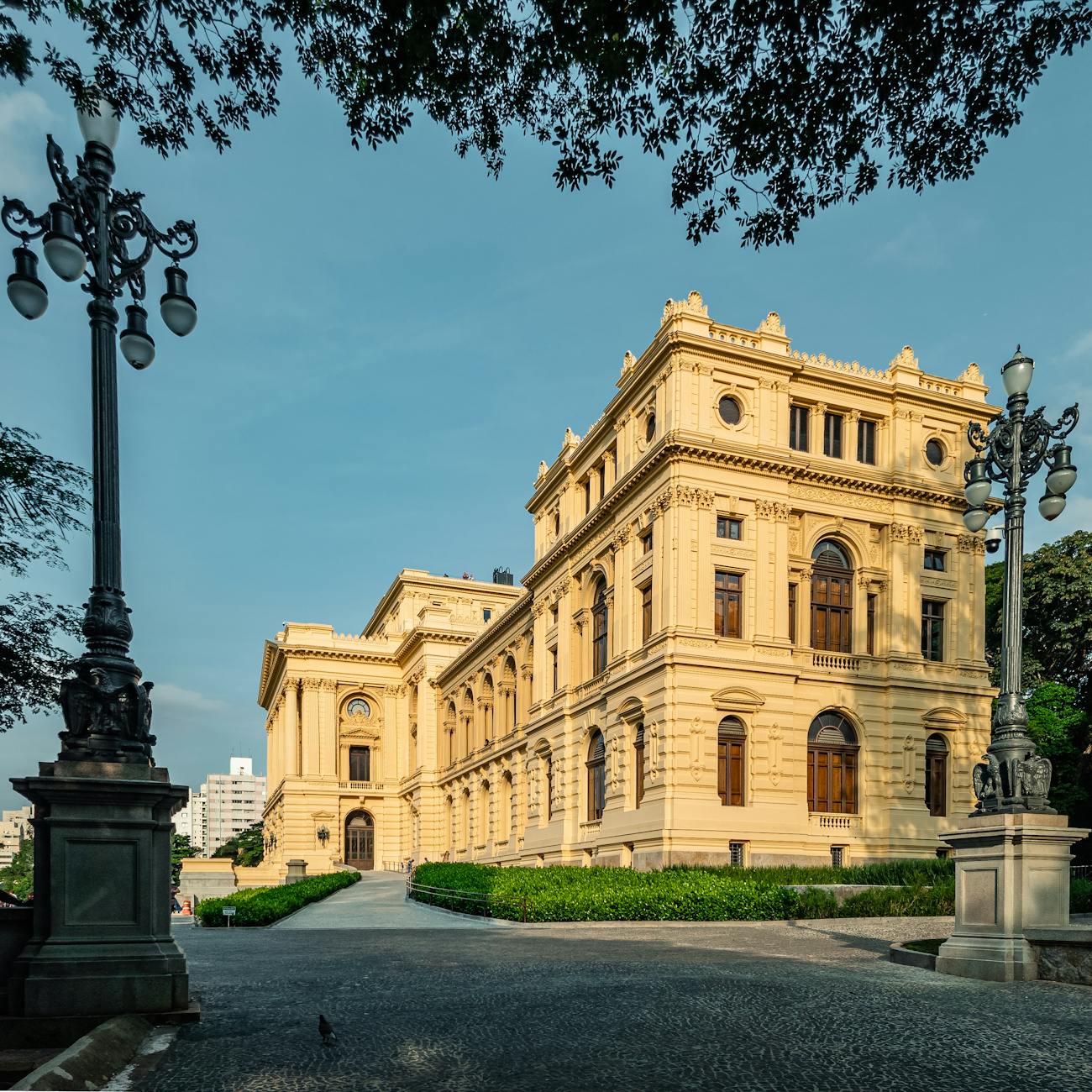 Museum Advocacy
