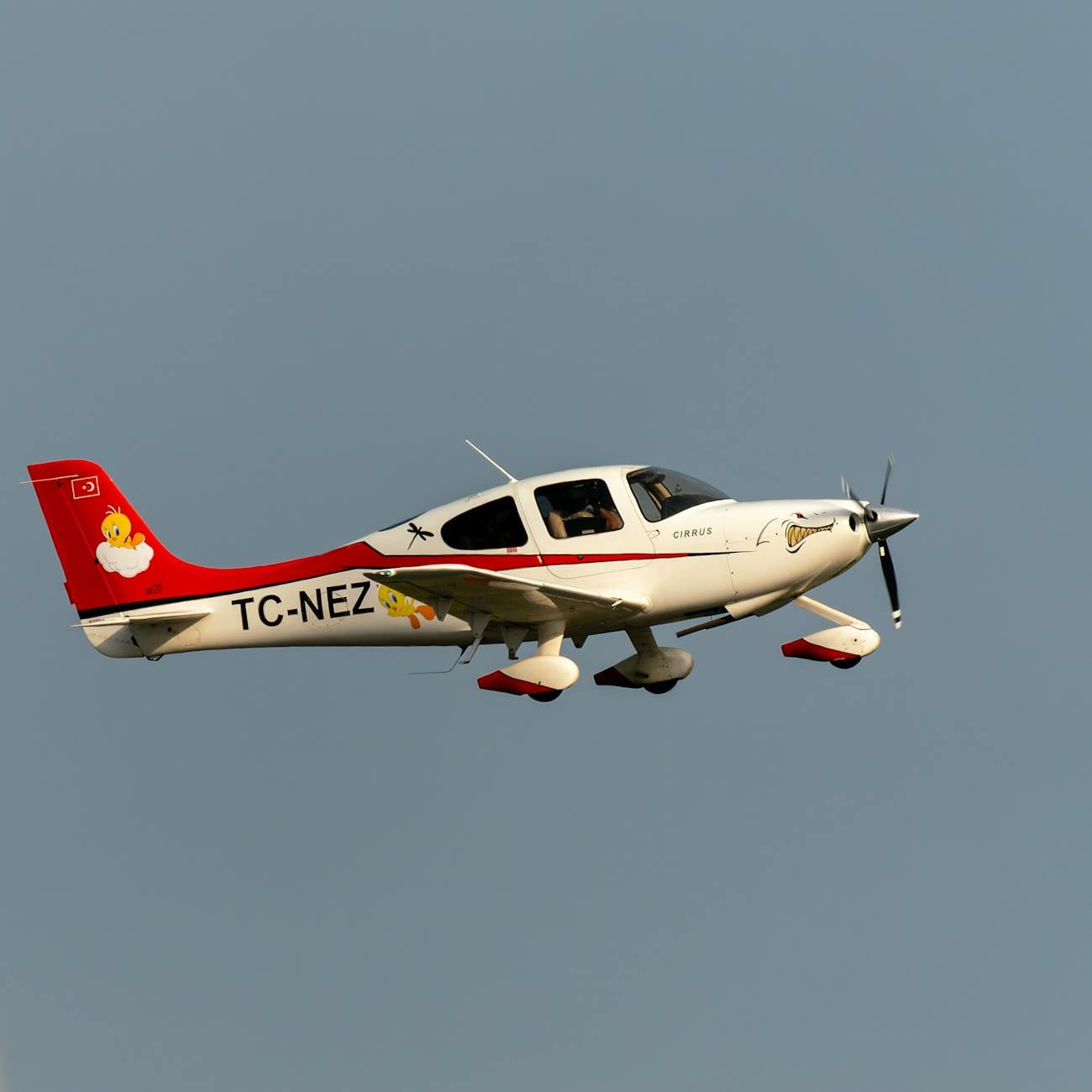 Fatigue Management in Aviation