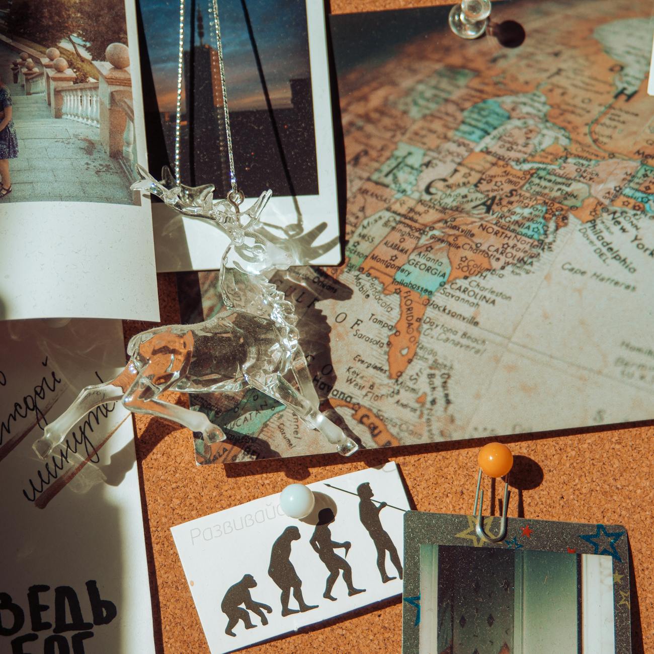 Global Trends in Fashion Visual Merchandising