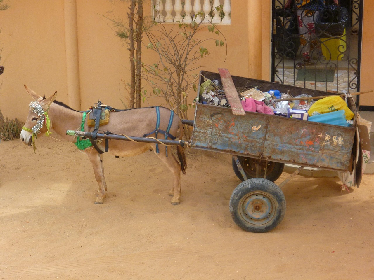 Waste Management