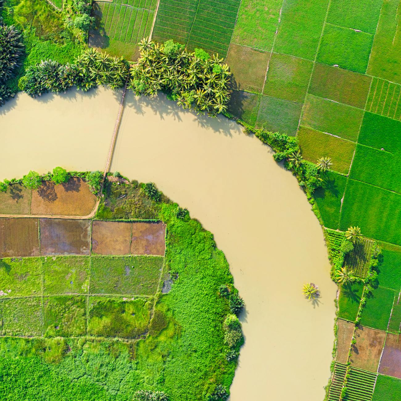 Supply Chain Optimization for Packaging Sustainability