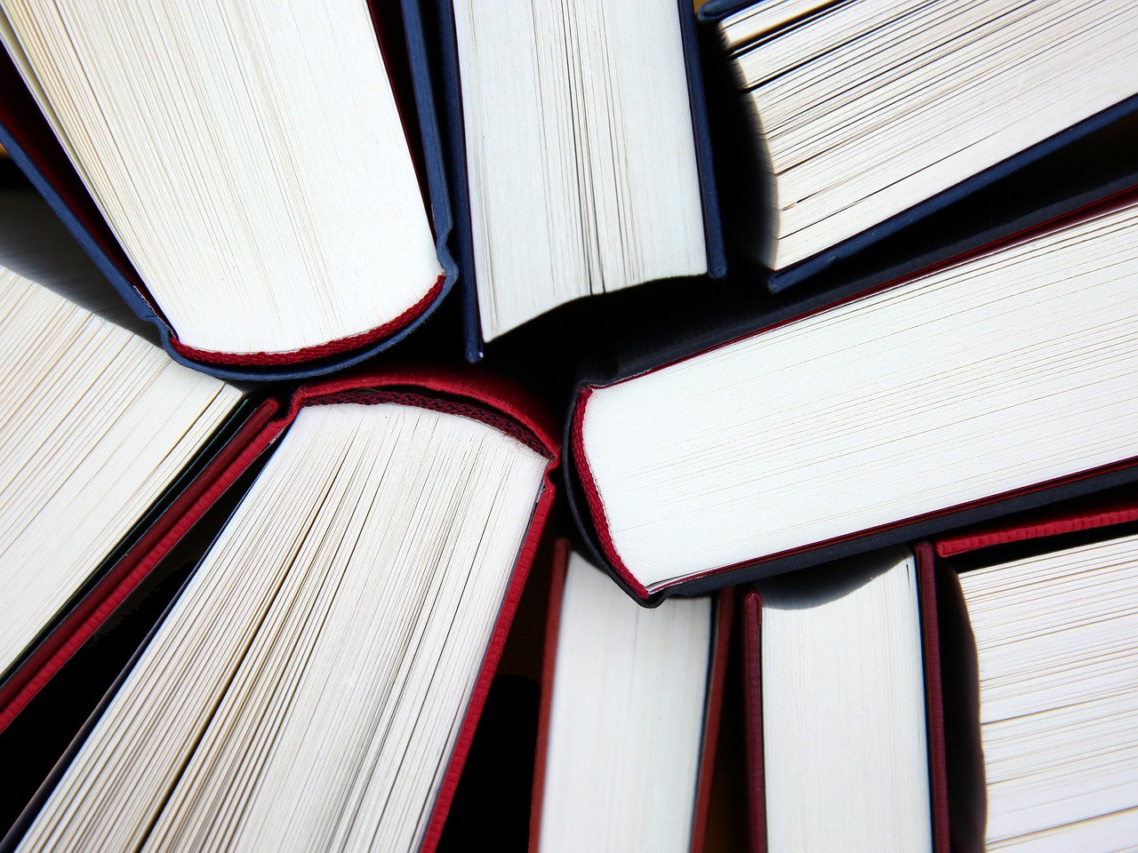 Literature and Social Justice