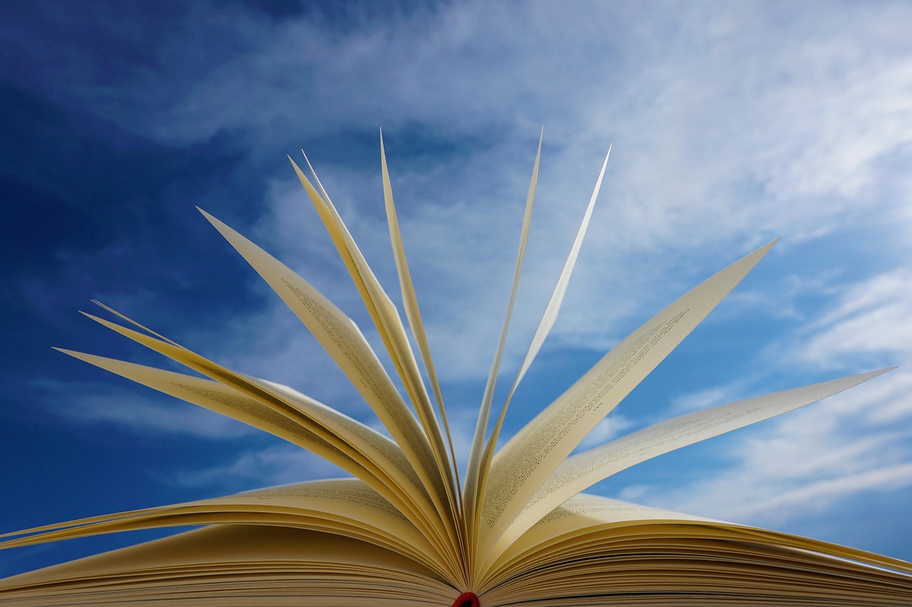 Literature in the Classroom