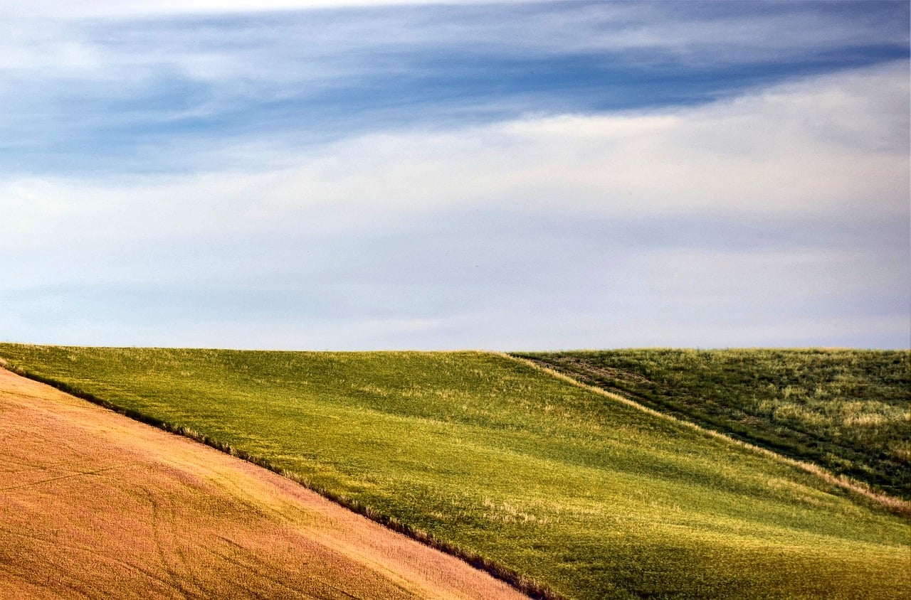 Neurotheology in Pastoral Counseling