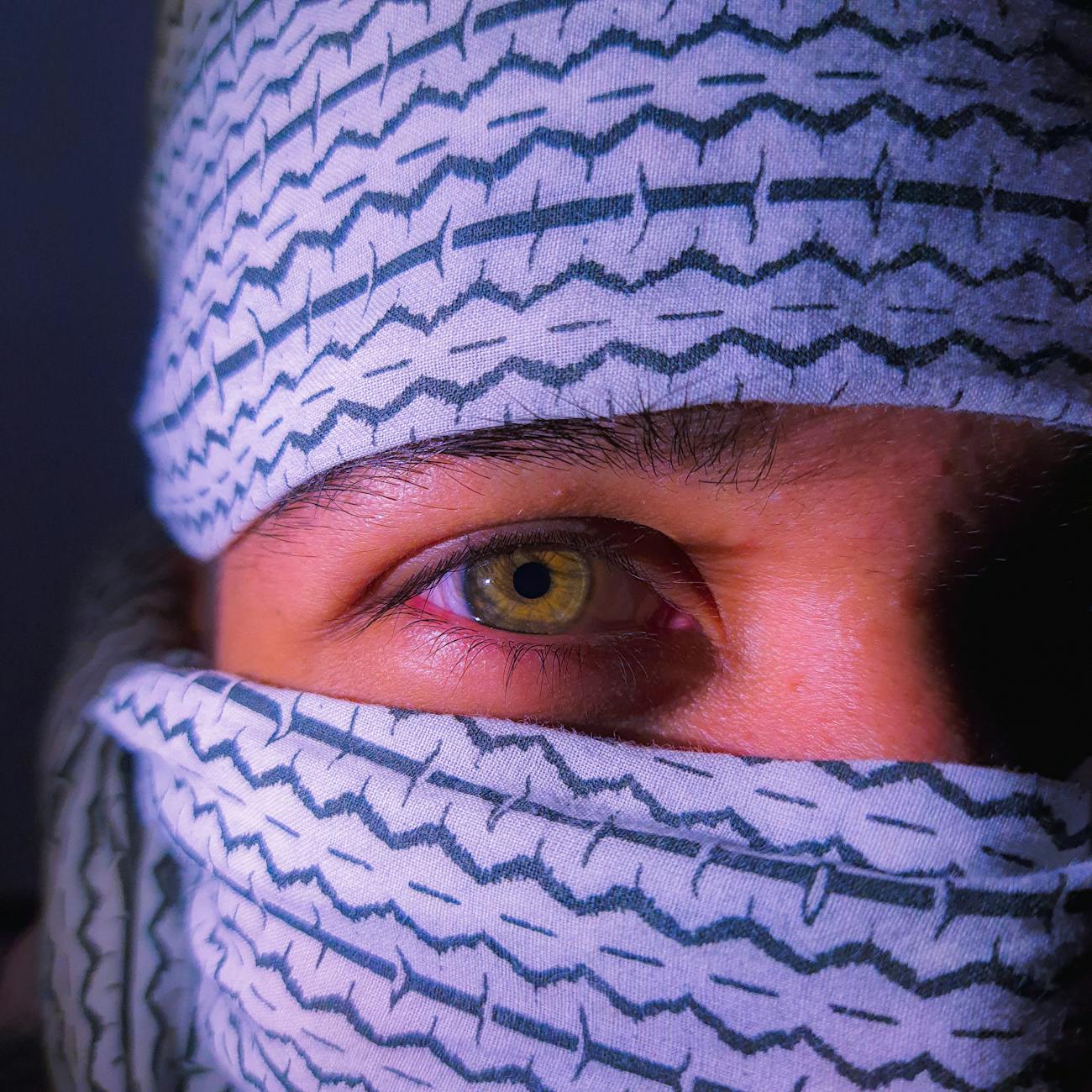 Terrorism and Counterterrorism