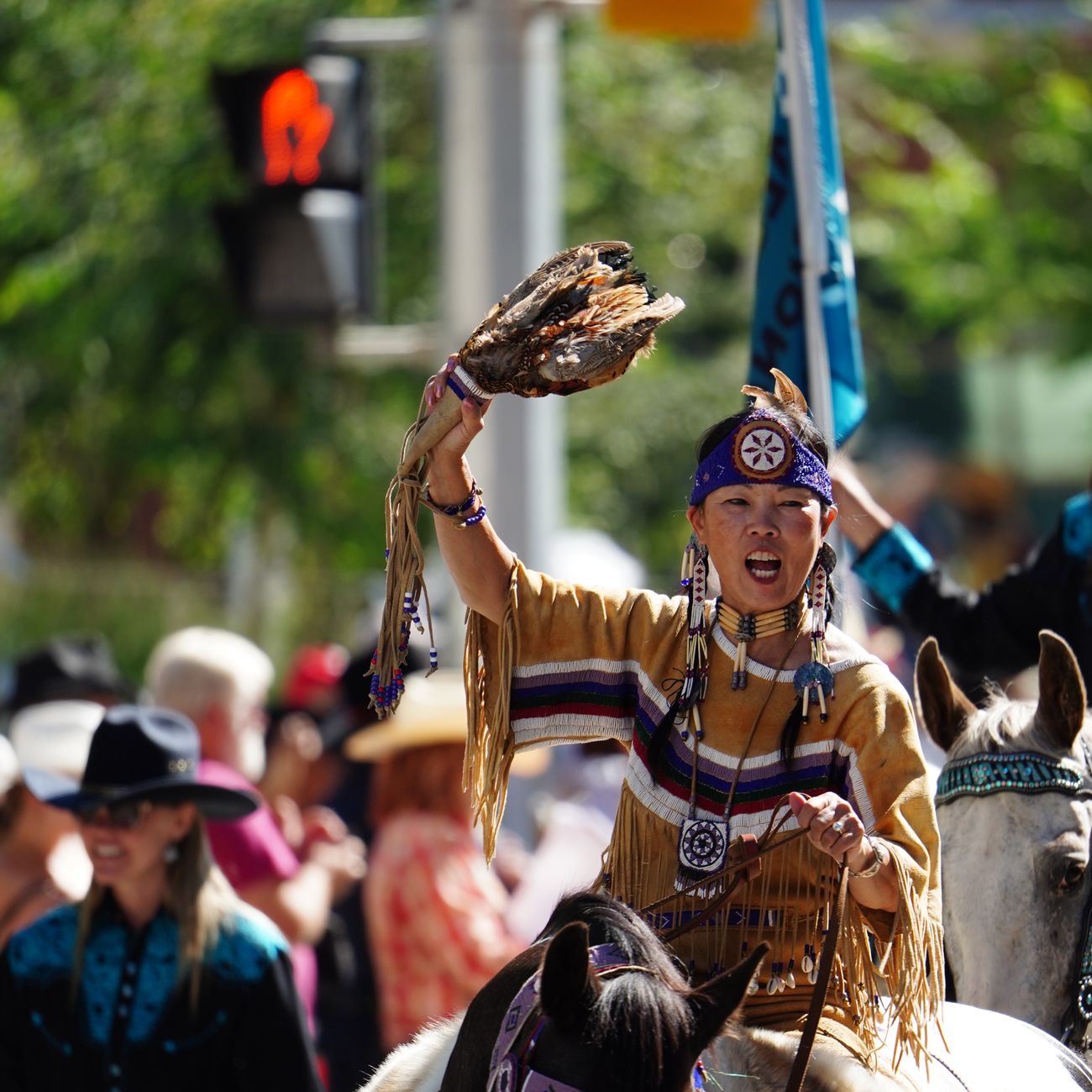 Mapping Indigenous Knowledge and Practices