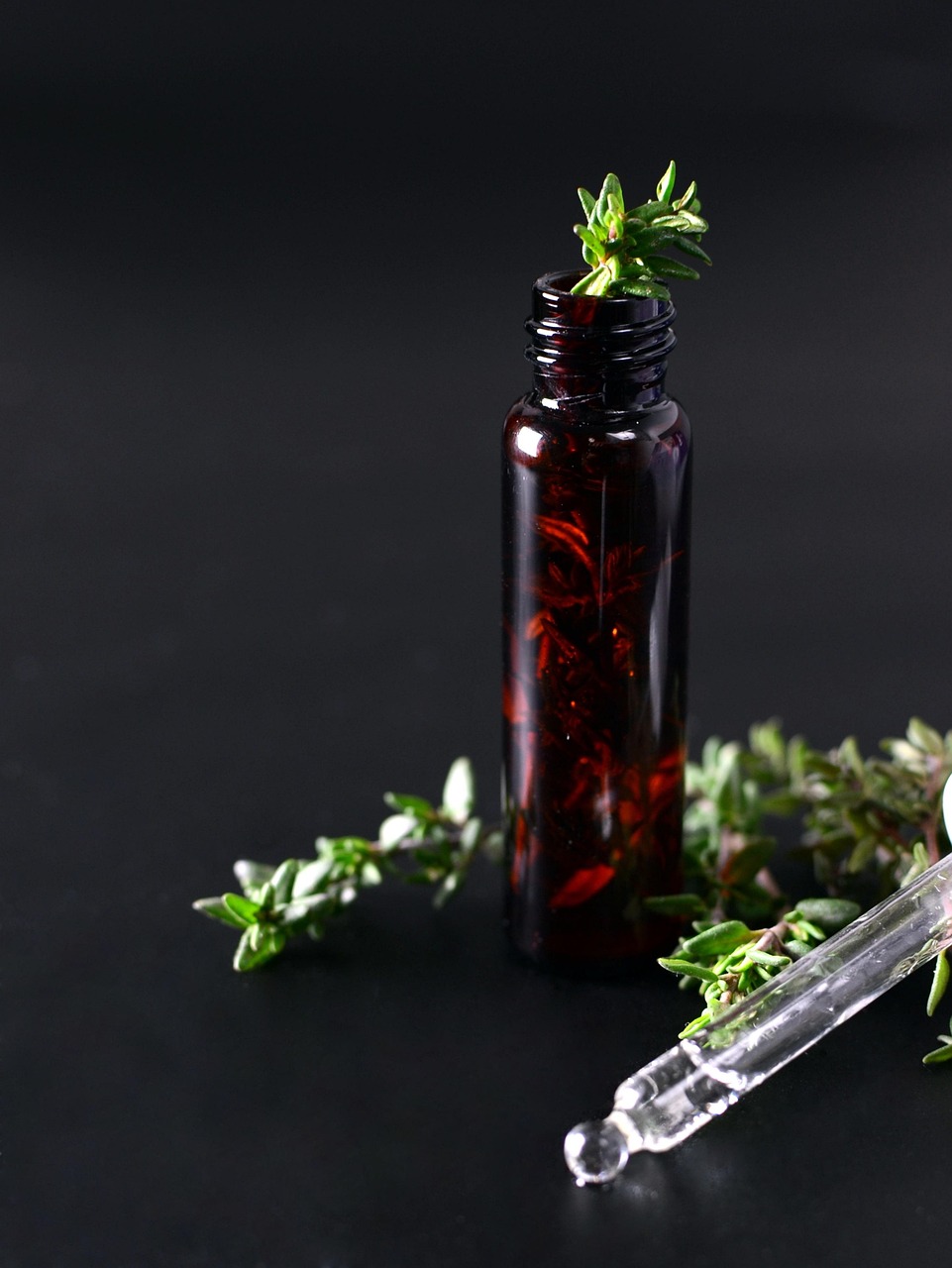 Fungi Extraction Methods
