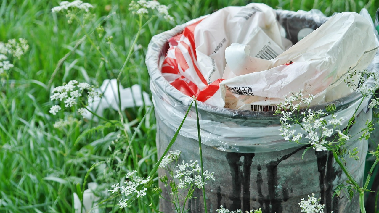 Waste Reduction Strategies