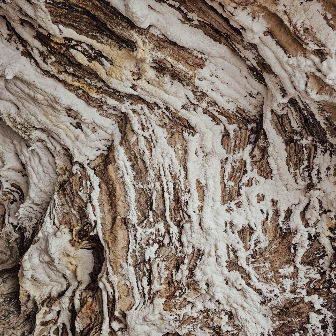AI in Geological Interpretation