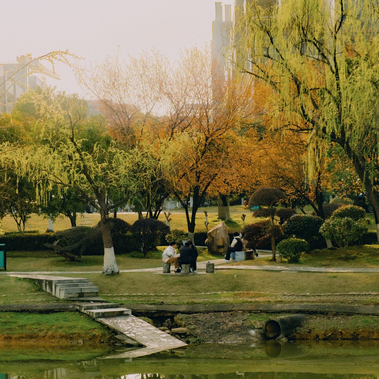 Introduction to Environmental Social Governance