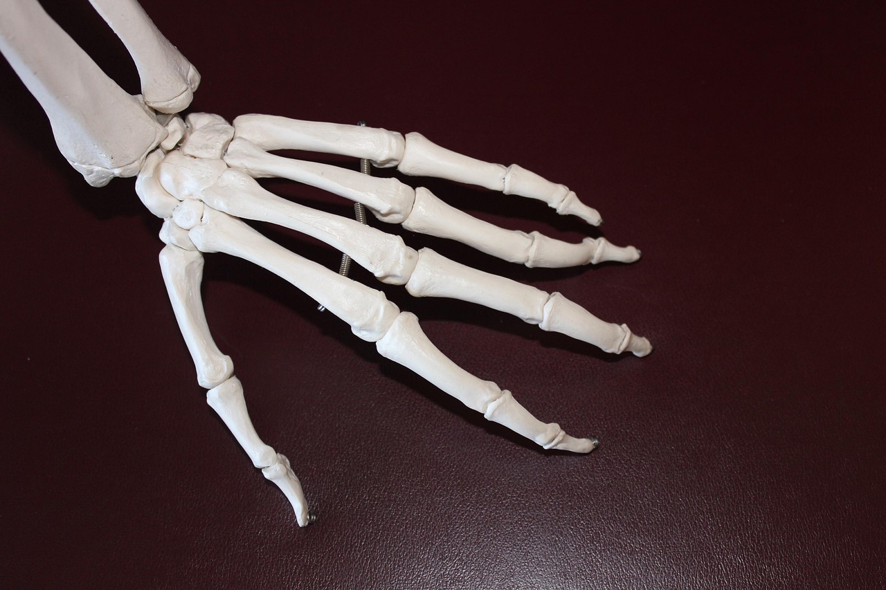 Skeletal Pathology