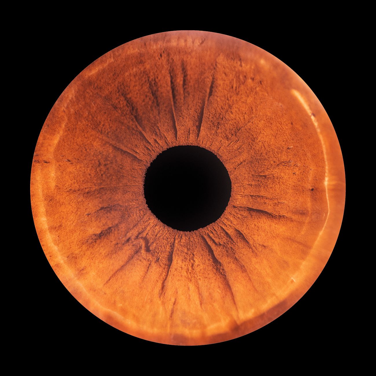 Prism Prescription and Lens Selection