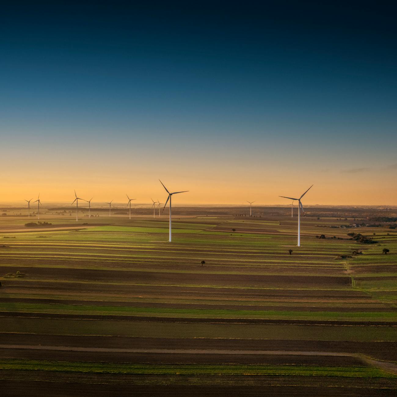Environmental Considerations in Land Development
