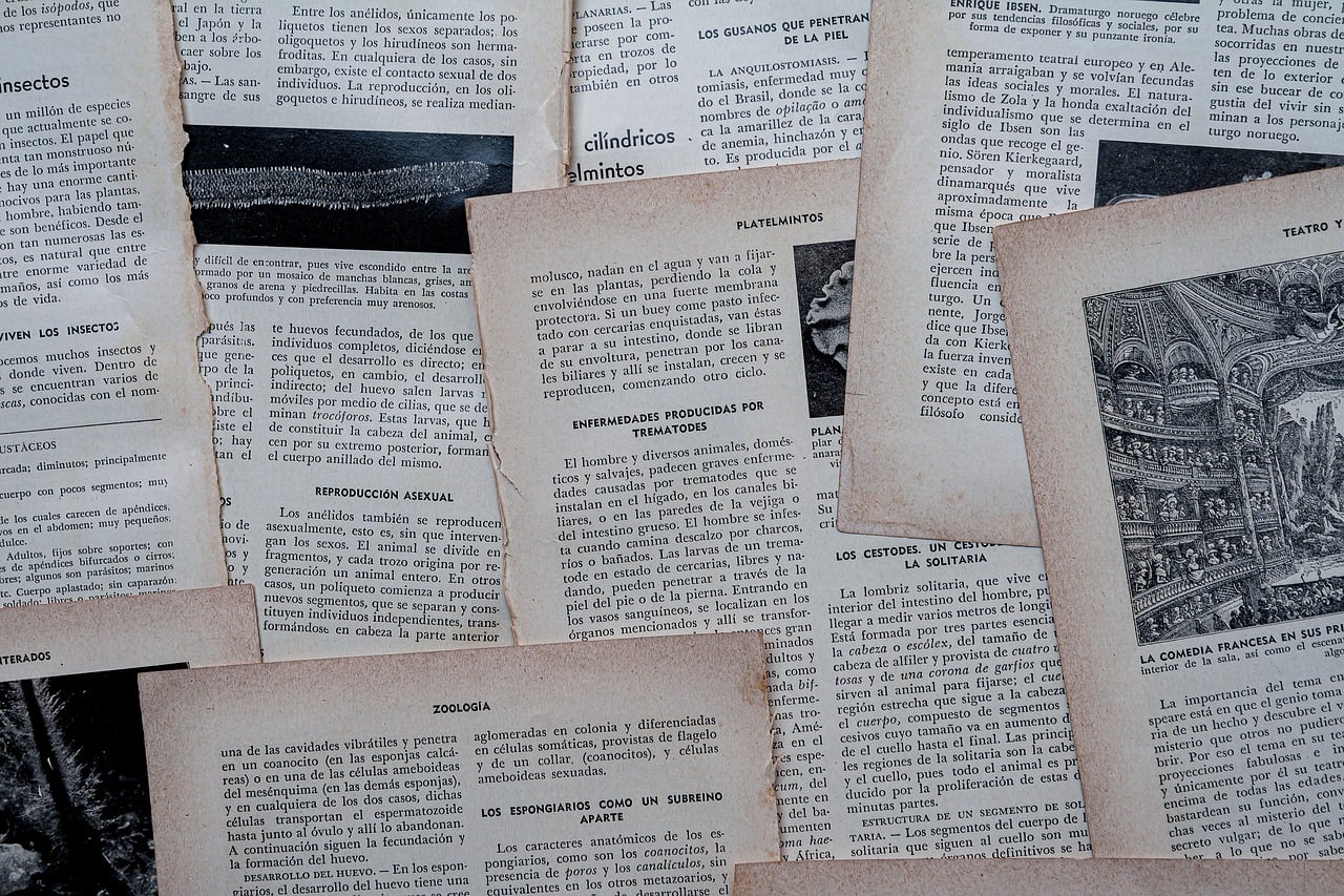 Digital Preservation of Vintage Paper Items