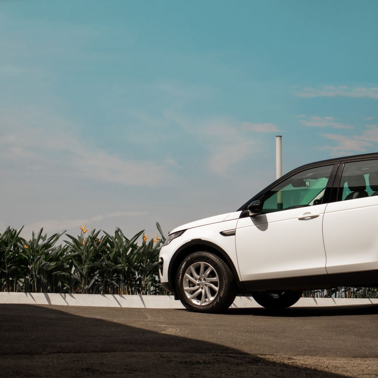 Automotive Aftersales Management