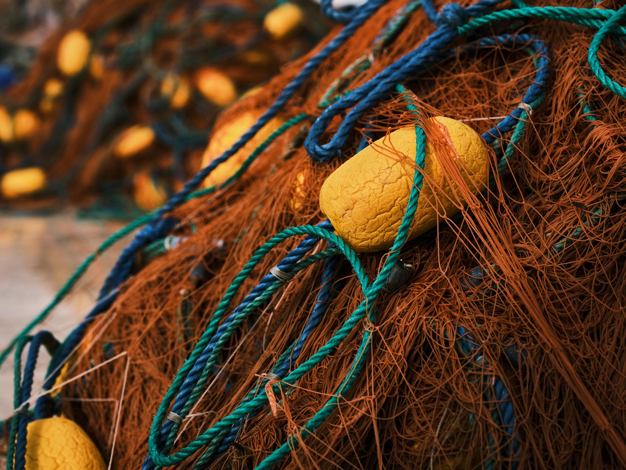 Advanced Fish Biology and Genetics