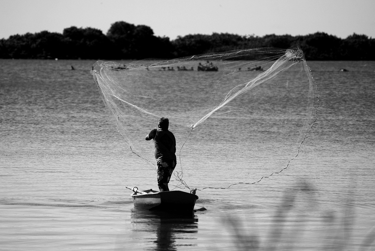 Sustainable Fisheries Management and Policy