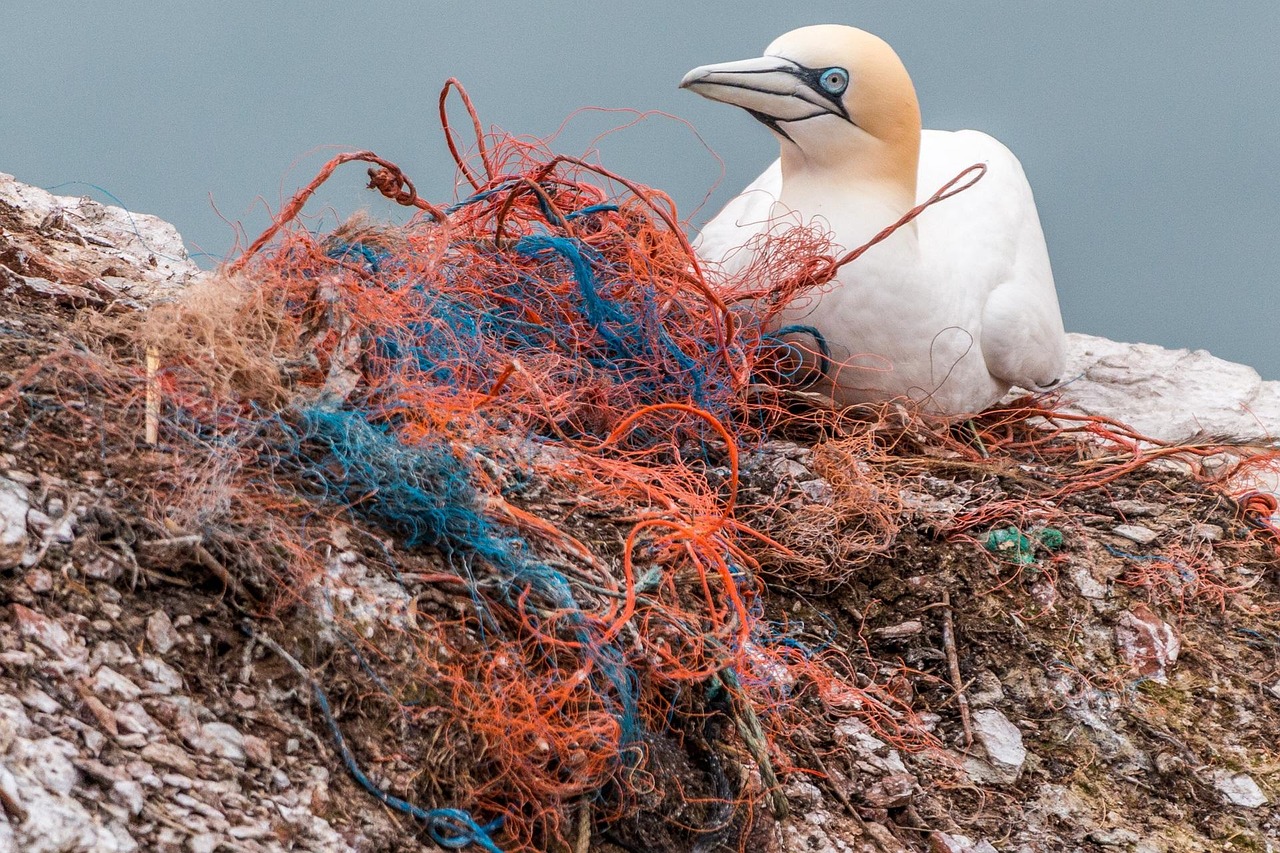 Shipping and Marine Environmental Impact Assessment