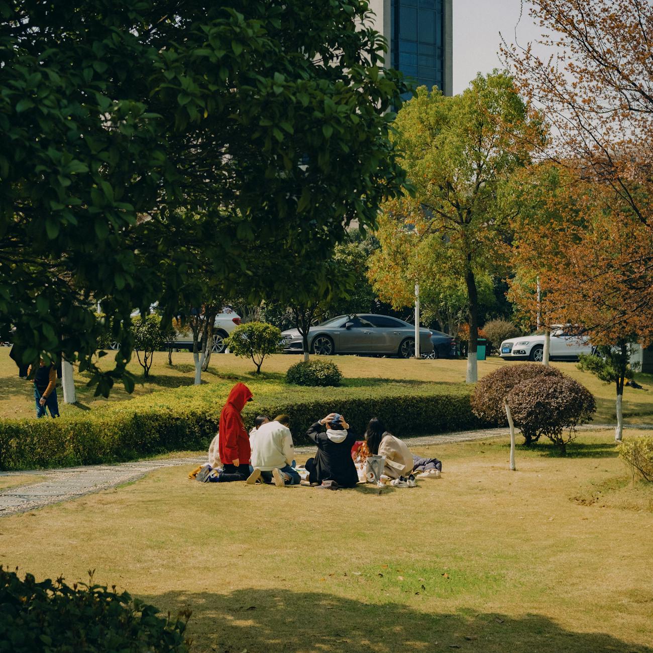* Social Behavior in Public Spaces