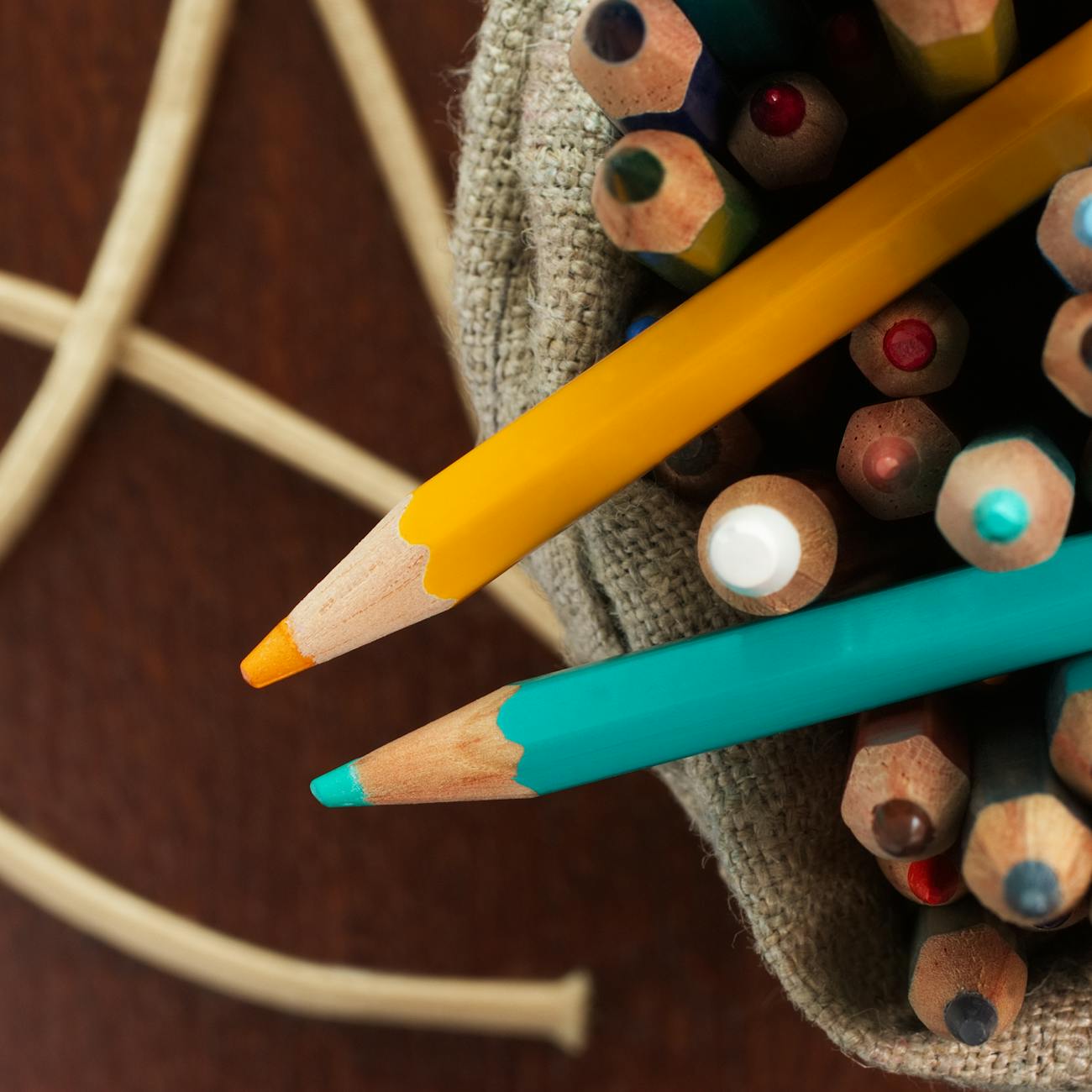 The Foundations of Steiner Education