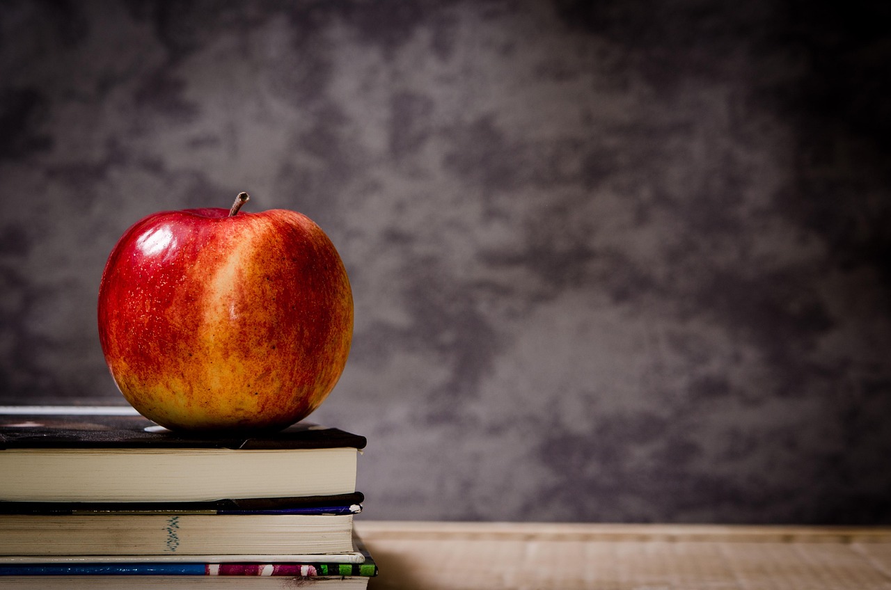 The Role of the Teacher in Steiner Education