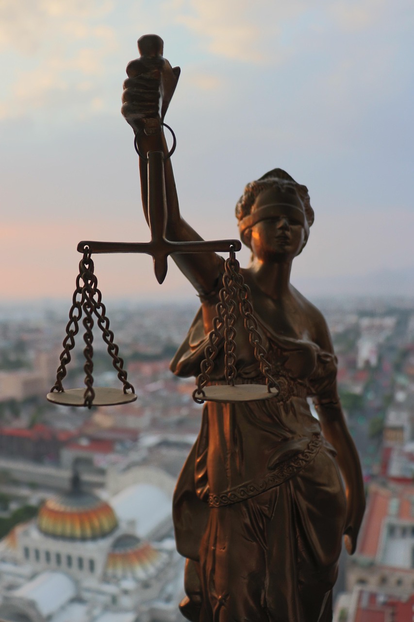 Intellectual Property Rights in Trade
