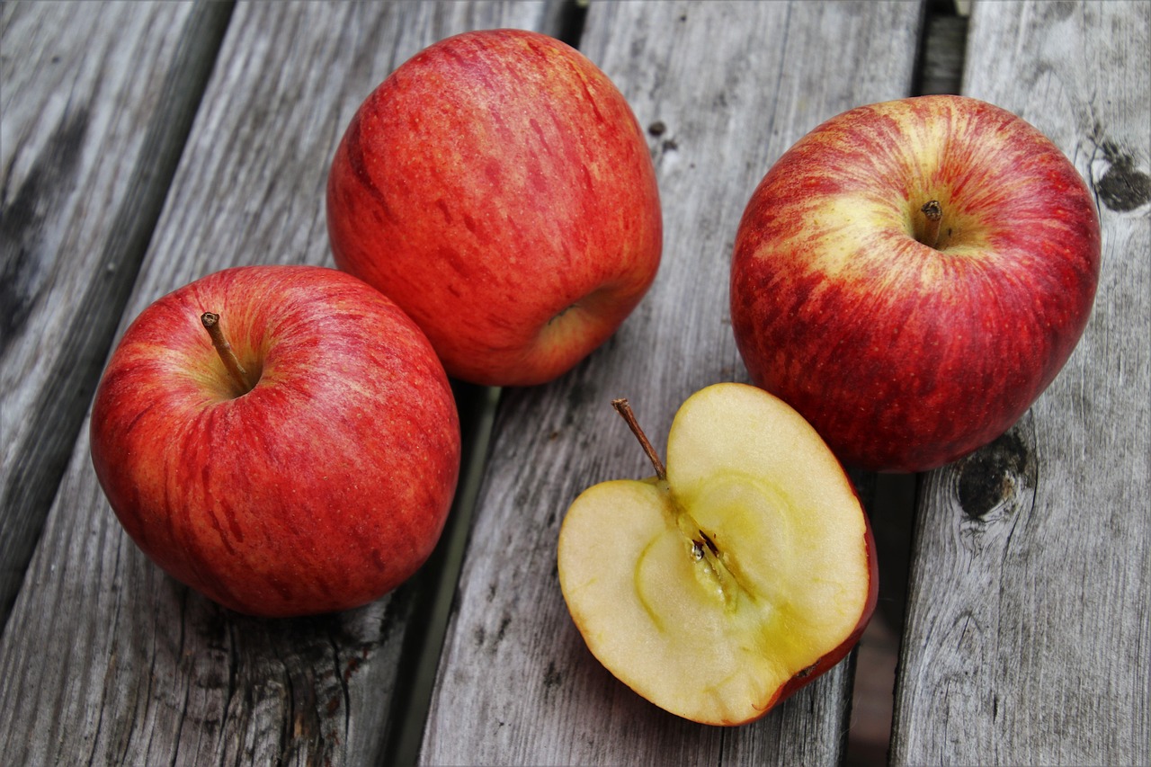 Nutrition And Digestion