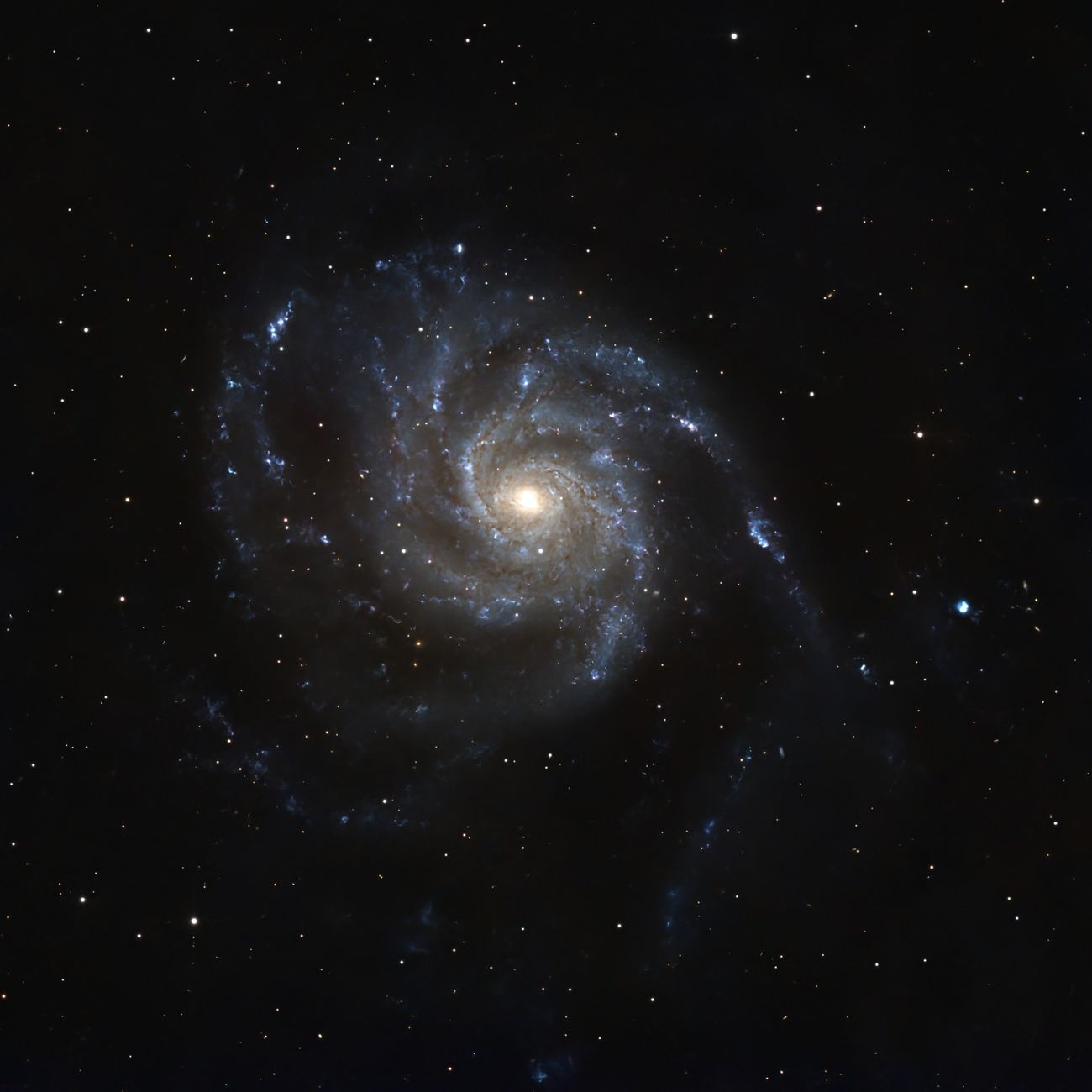 Stellar Dynamics and Propulsion