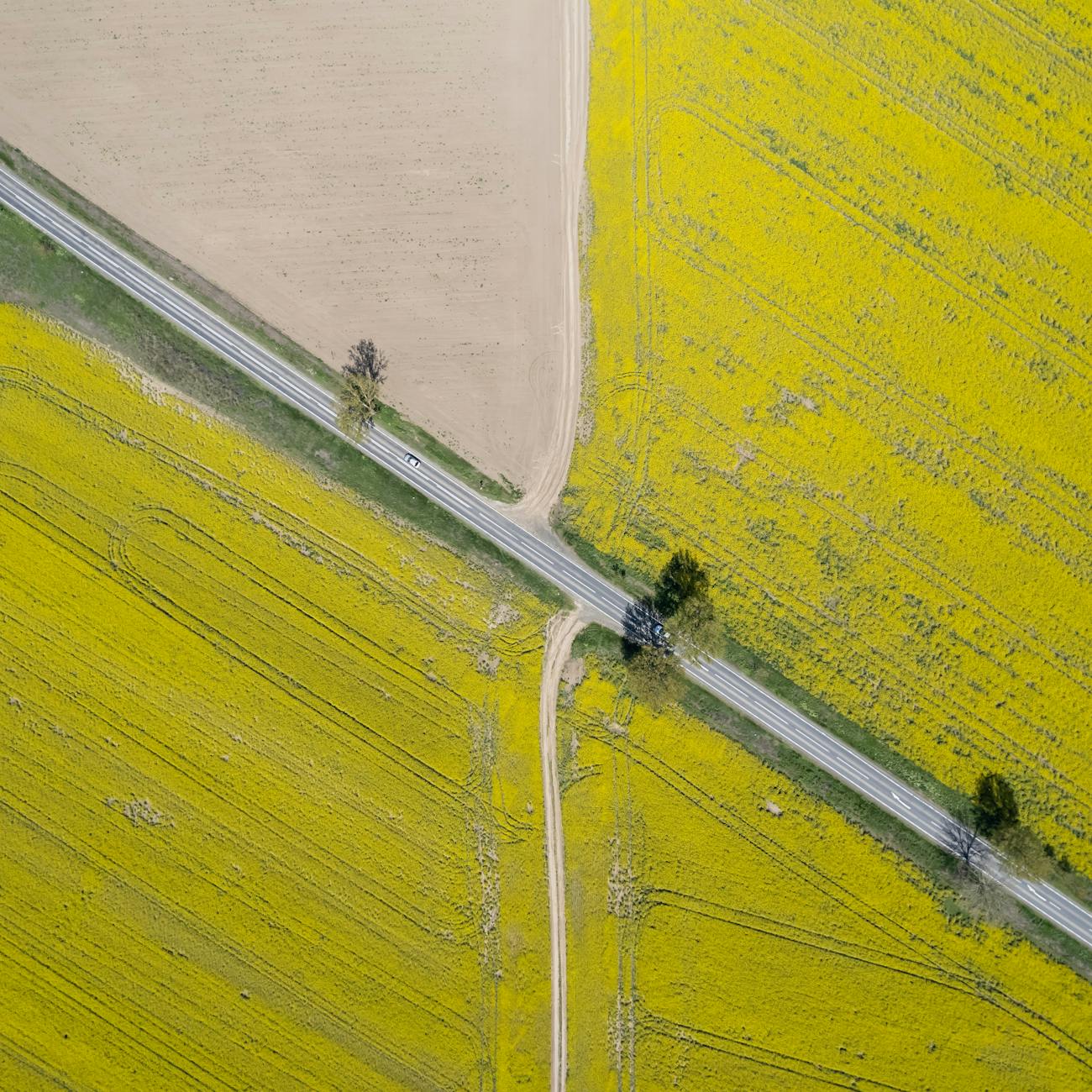 Estate Planning and Wills for Farm Succession