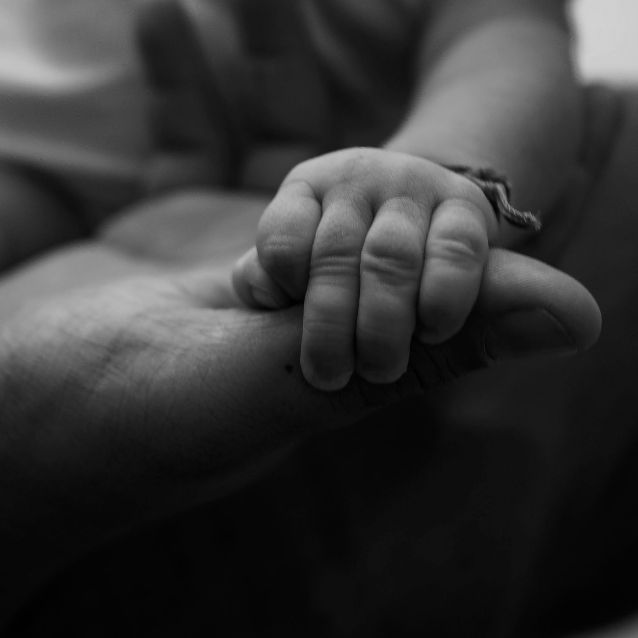 Lactation Nutrition and Milk Composition