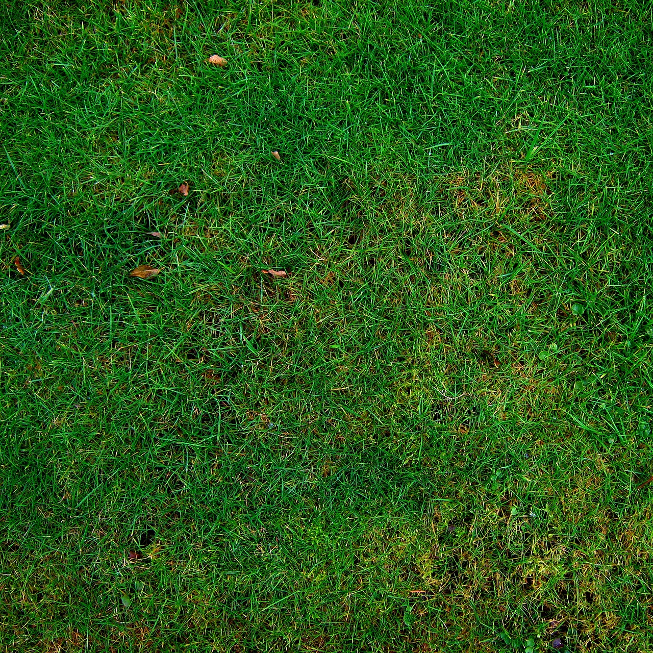 Eco‑Safe Disinfection Methods