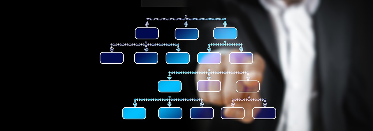Financial Management in Sports Organizations